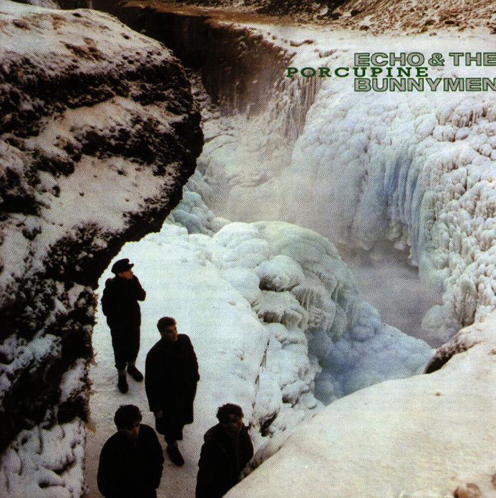 the album cover for Echo & The Bunnymen - Porcupine [Rocktober 2021 LP]
