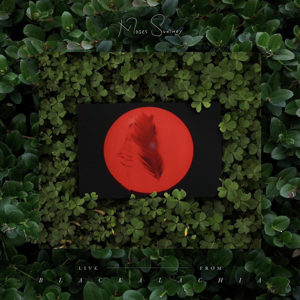 the album cover for Moses Sumney - Live From Blackalachia [Limited Edition Clear Green 2LP]