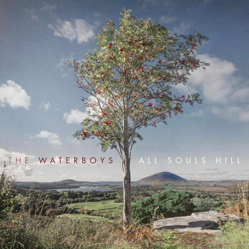 the album cover for The Waterboys - All Souls Hill [LP]