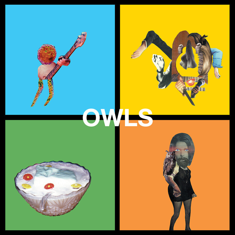 the album cover for Owls - Owls [LP]