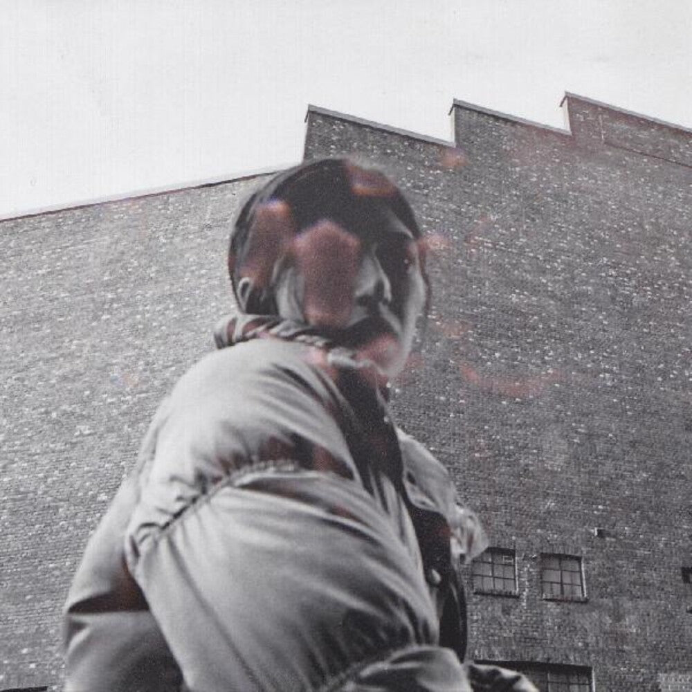 the album cover for Aldous Harding - Warm Chris [LP]