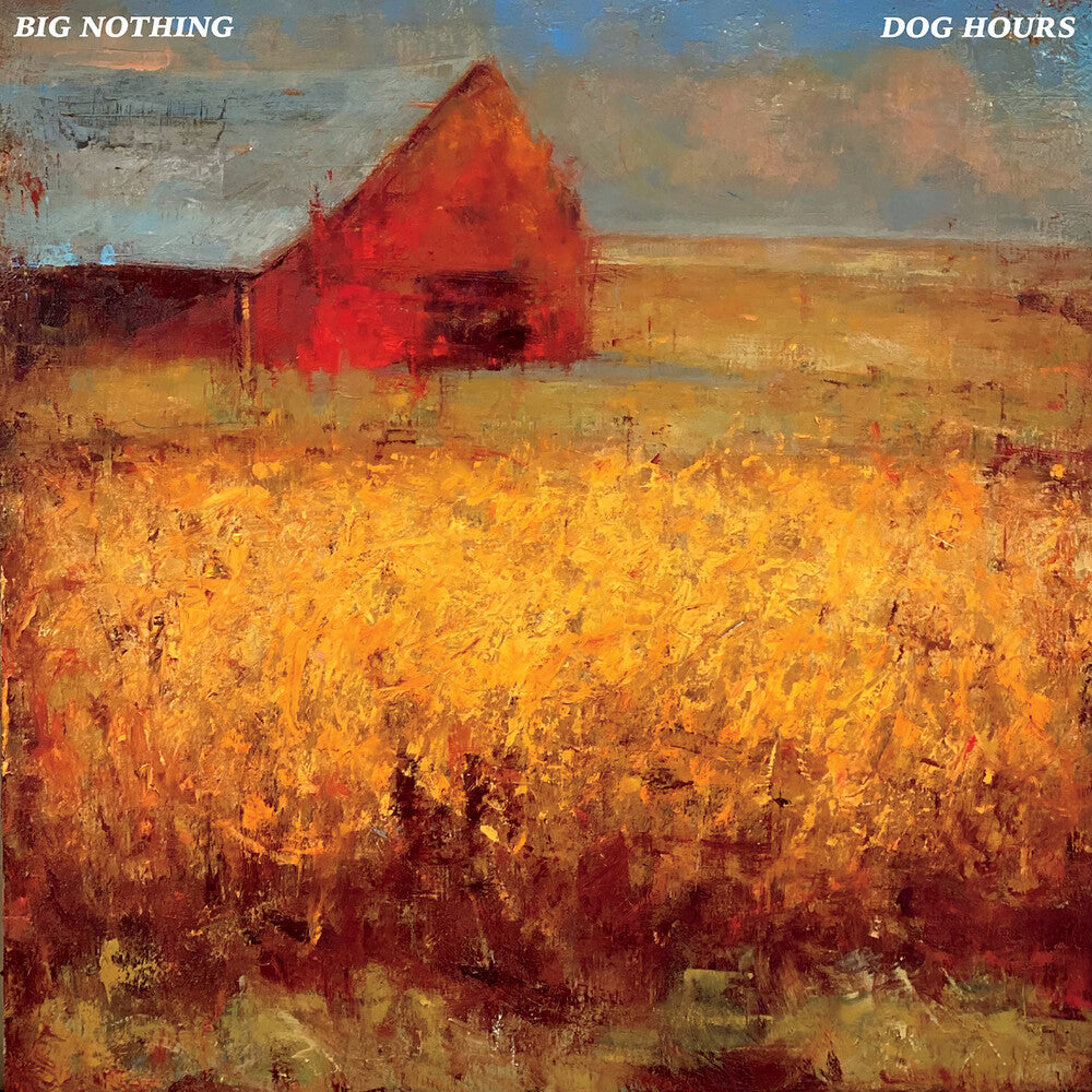 the album cover for Big Nothing - Dog Hours (transparent Blue)