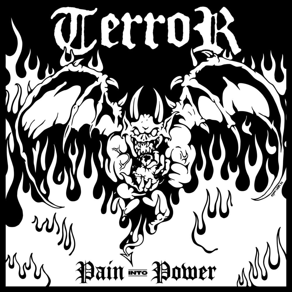 the album cover for Terror - Pain Into Power [LP]