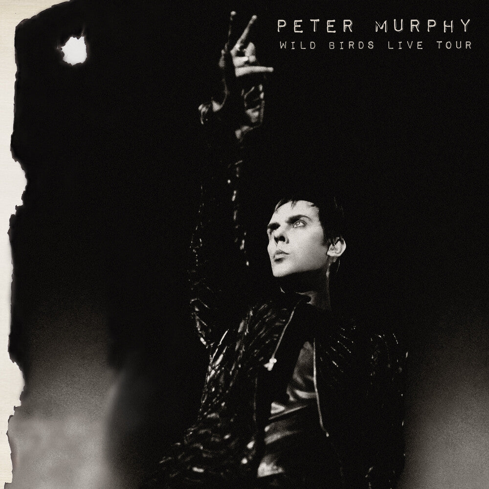 the album cover for Peter Murphy - Wild Birds Live Tour [Purple & Black 2LP]