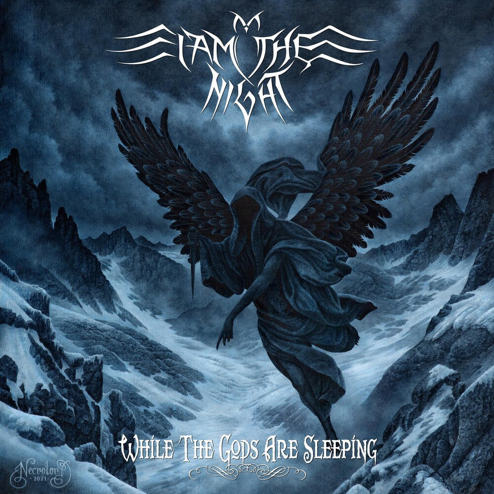the album cover for I Am the Night - While The Gods Are Asleep