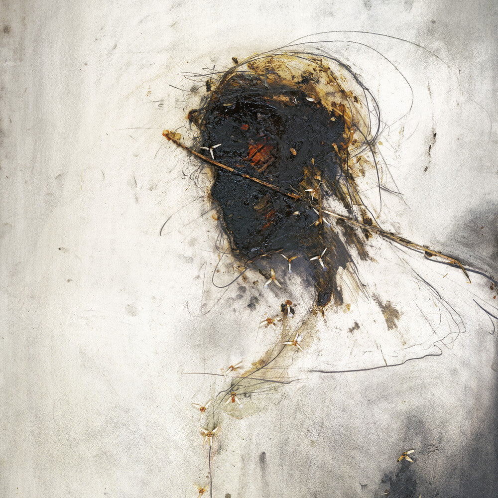 the album cover for Peter Gabriel - Passion: Music For The Last Temptation Of Christ