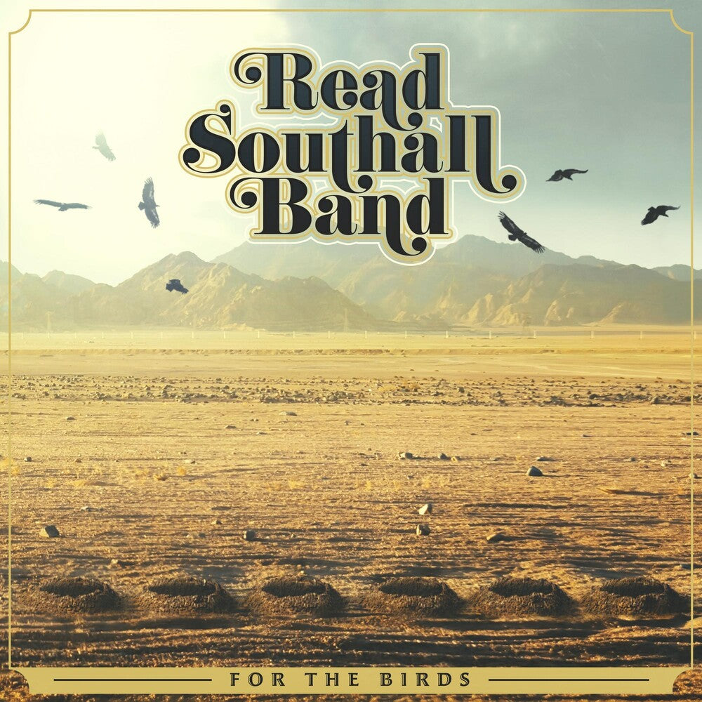 the album cover for SOUTHALL - For The Birds [LP]