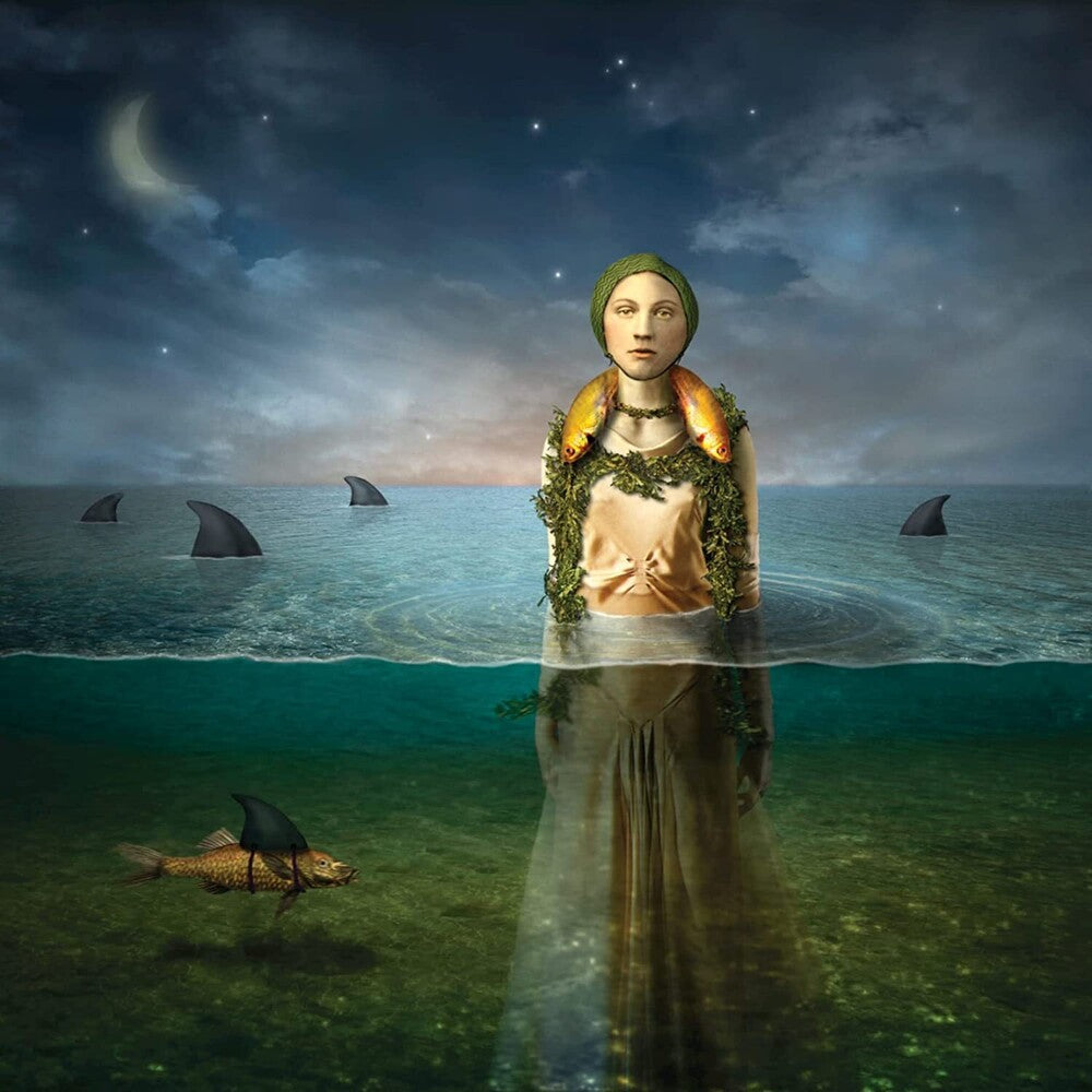the album cover for The Bled - Found In The Flood