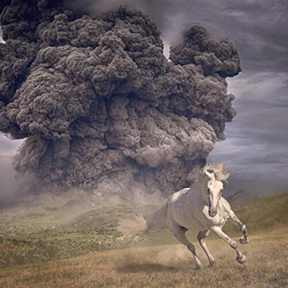 the album cover for The White Buffalo - Year Of The Dark Horse [Limited Edition Transparent Blue LP]