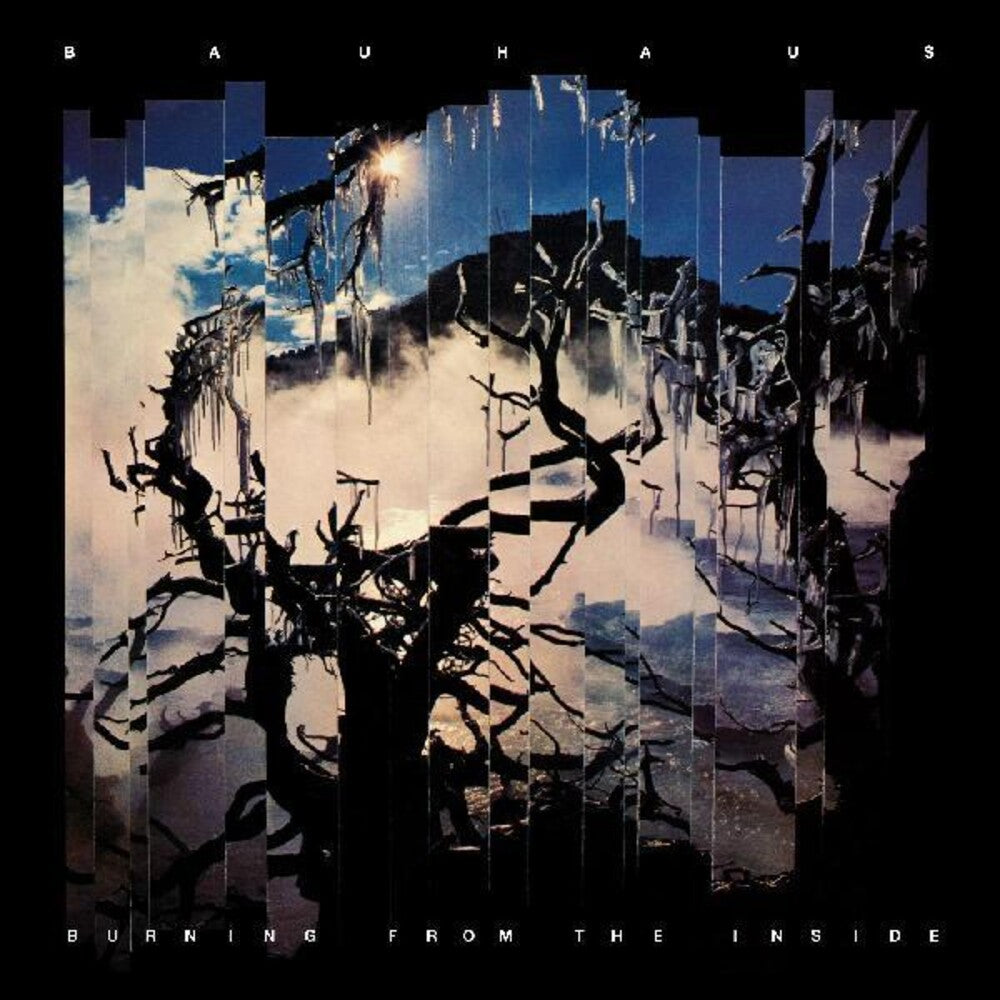 the album cover for Bauhaus - Burning From The Inside [LP]