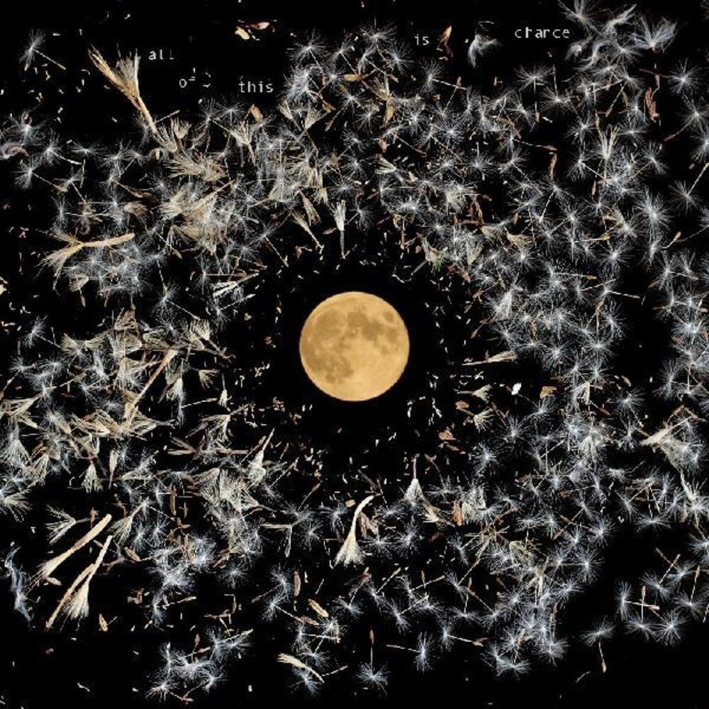 the album cover for Lisa O'Neill - All Of This Is Chance [LP]
