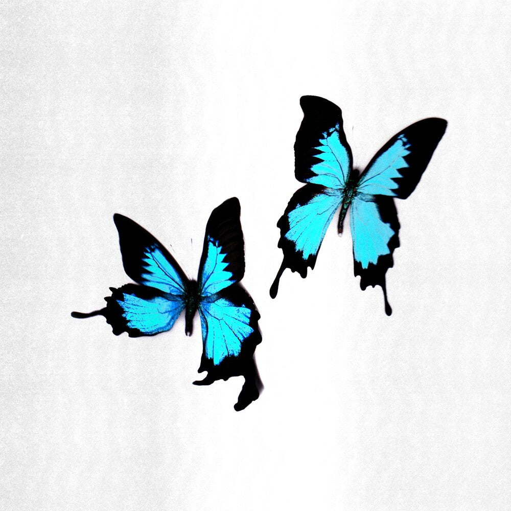 the album cover for Korine - Tear