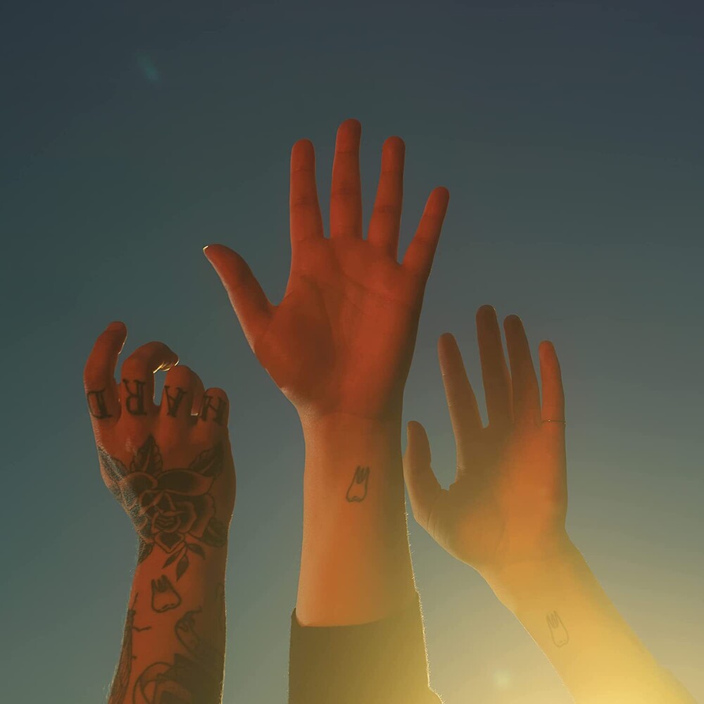 the album cover for boygenius - the record