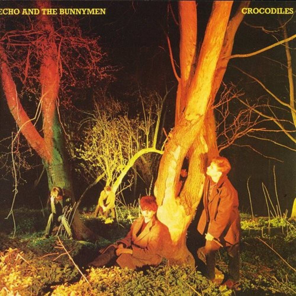 the album cover for Echo & The Bunnymen - Crocodiles [Rocktober 2021 LP]