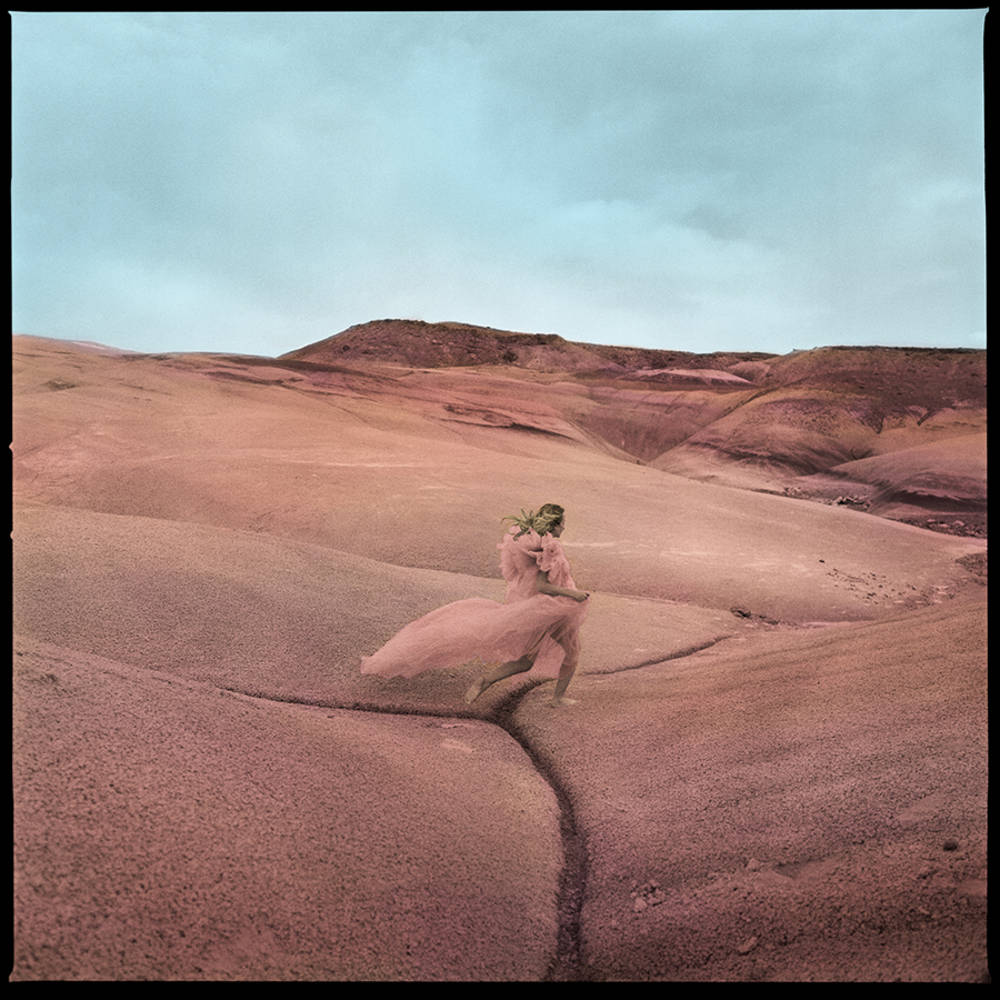 the album cover for Margo Price - Strays [Indie Exclusive Limited Edition Purple Smoke LP]