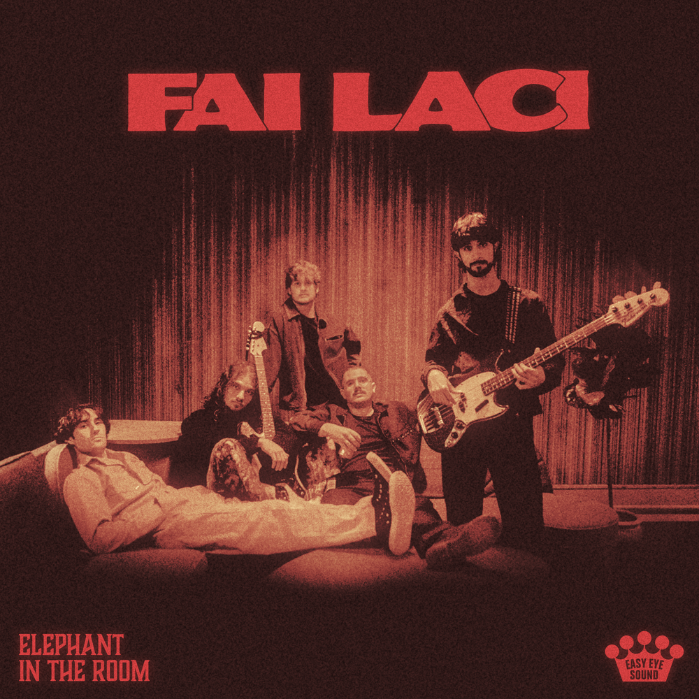 the album cover for Fai Laci - Elephant In The Room