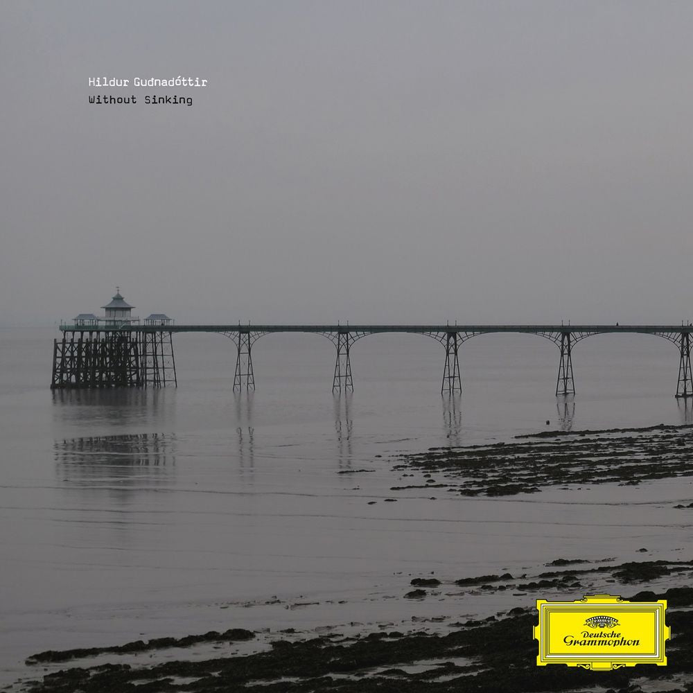 the album cover for Hildur Guonadottir - Without Sinking