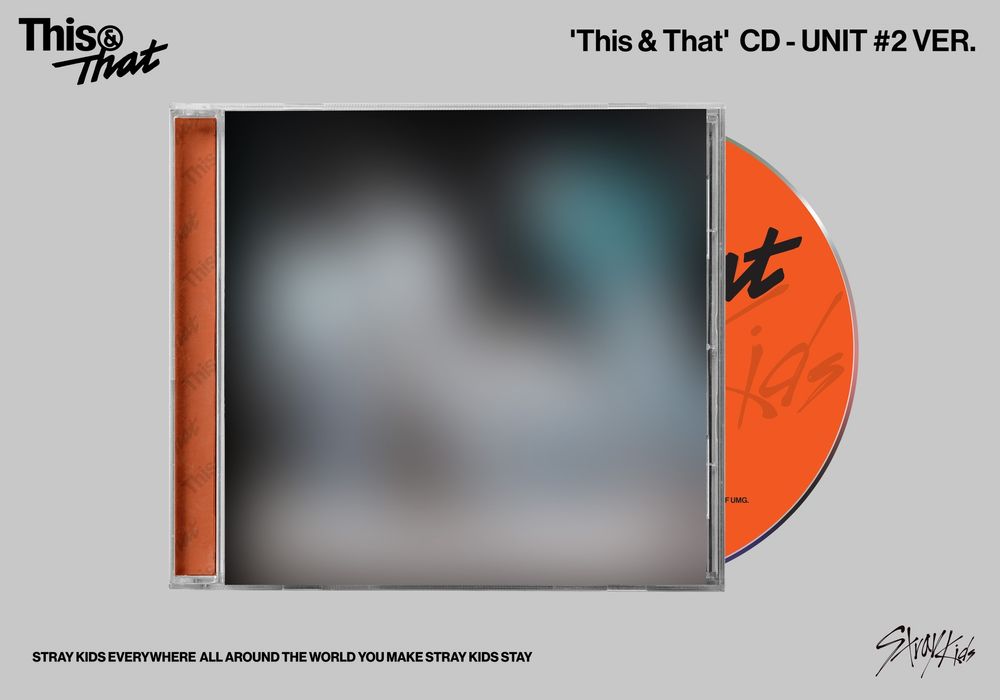 the album cover for Stray Kids - This & That [Unit #2 Ver.]