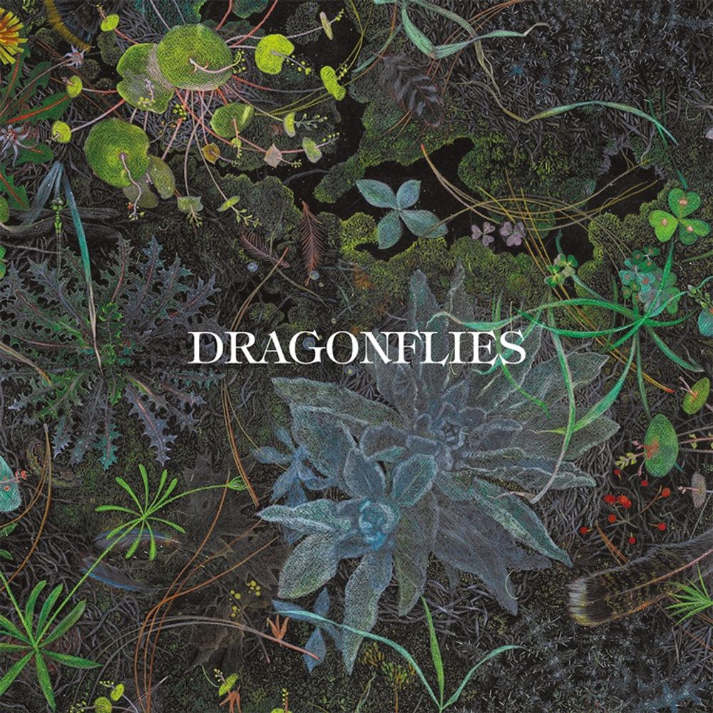 the album cover for Dragonflies - Dragonflies [Indie Exclusive Color]