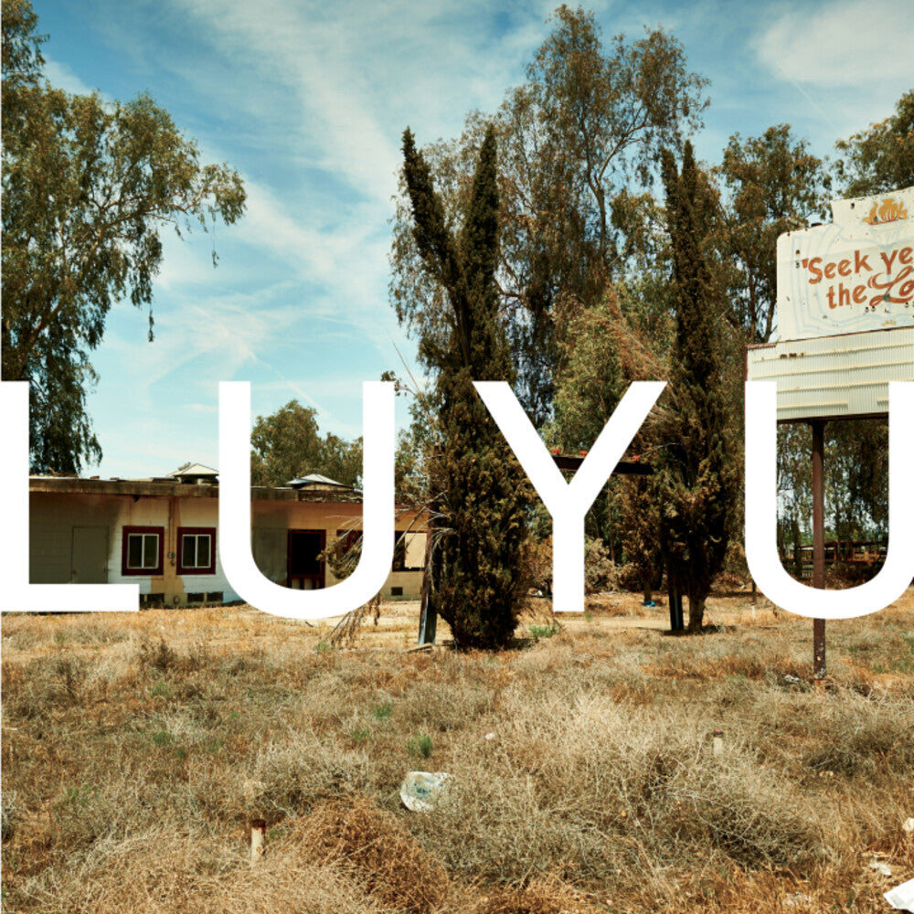 the album cover for K Leimer . - Luyu