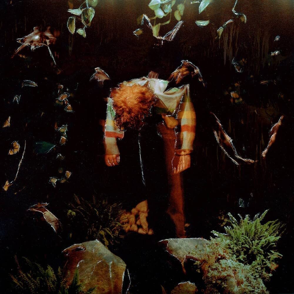 the album cover for Cavetown - worm food [Evergreen in Milky Clear Color-In-Color LP]