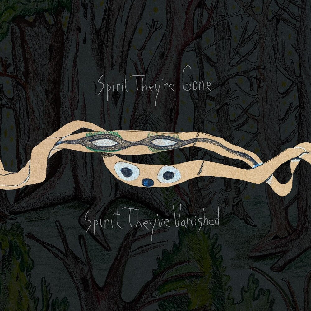 the album cover for Animal Collective - Spirit They're Gone, Spirit They've Vanished: Remastered 2023 [Indie Exclusive Limited Edition Grass Green 2LP]