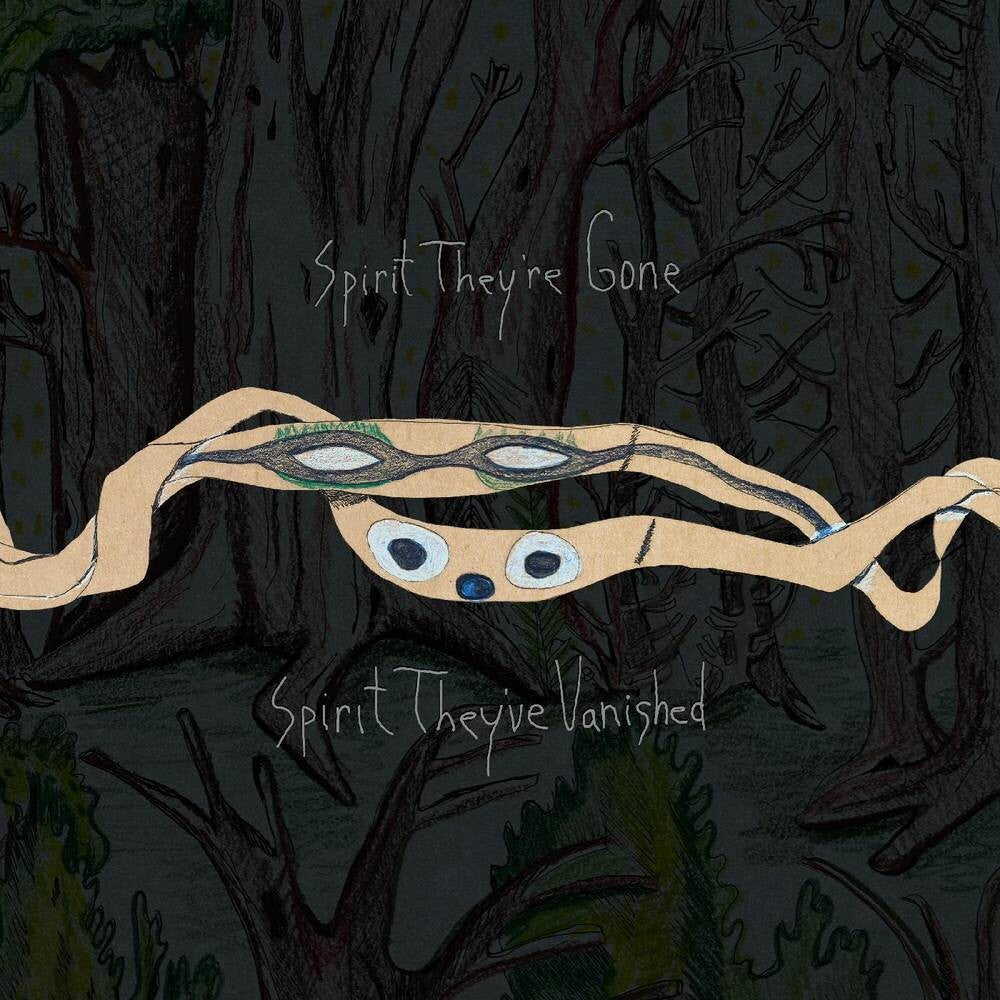the album cover for Animal Collective - Spirit They're Gone, Spirit They've Vanished: Remastered 2023 [2LP]