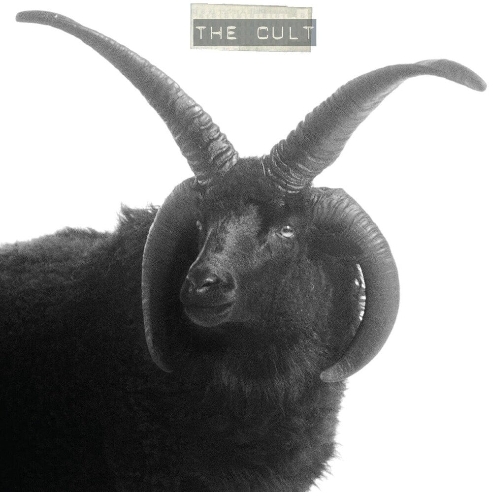 the album cover for The Cult - The Cult [LP]