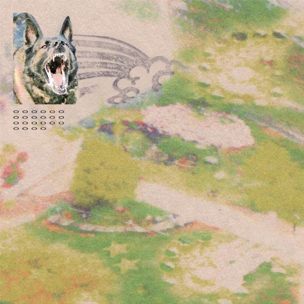 the album cover for feeble little horse - Girl with Fish [Opaque Pink LP]