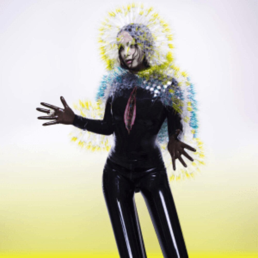 the album cover for Bjork - Vulnicura