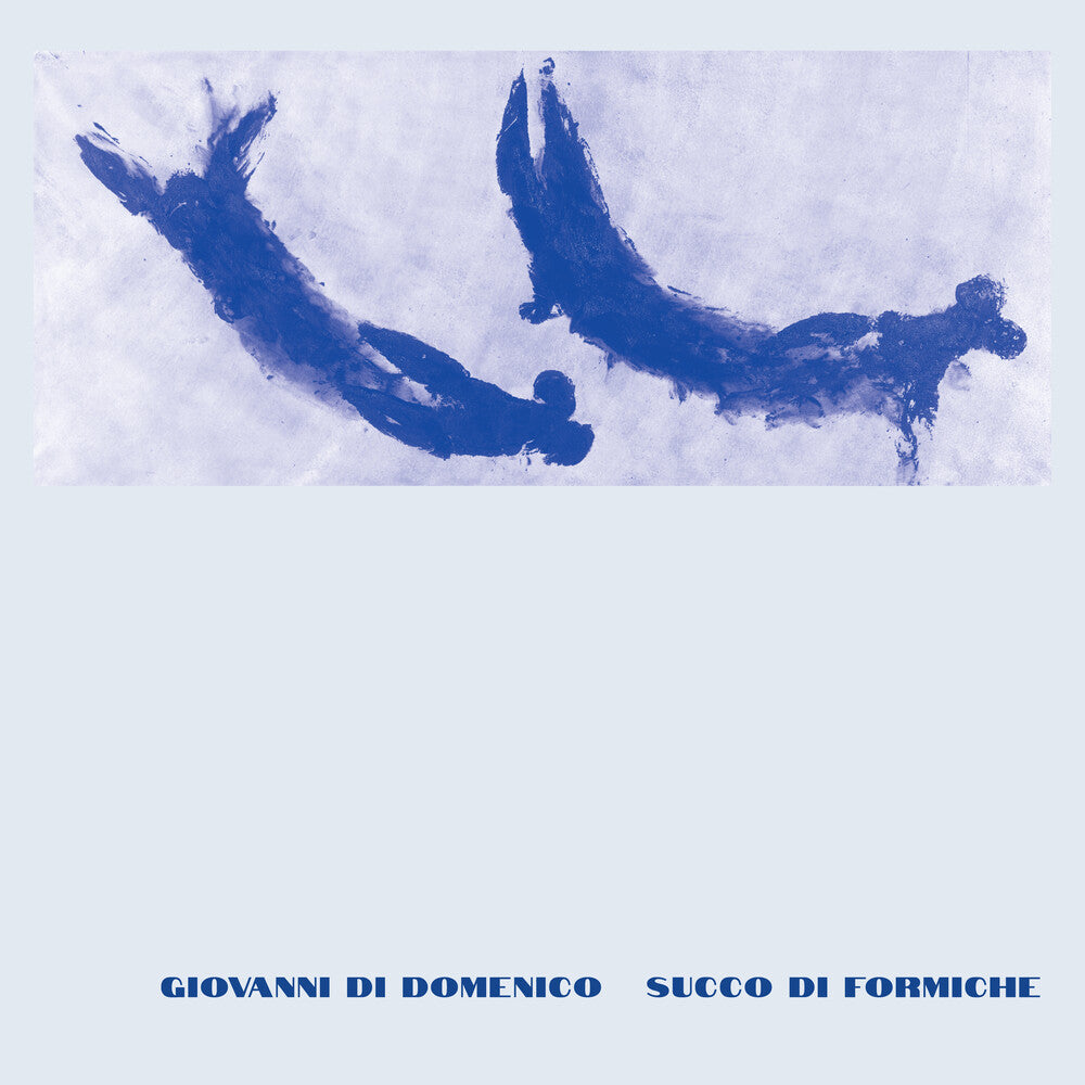 the album cover for Di Giovanni Domenico - Succo Di Formiche