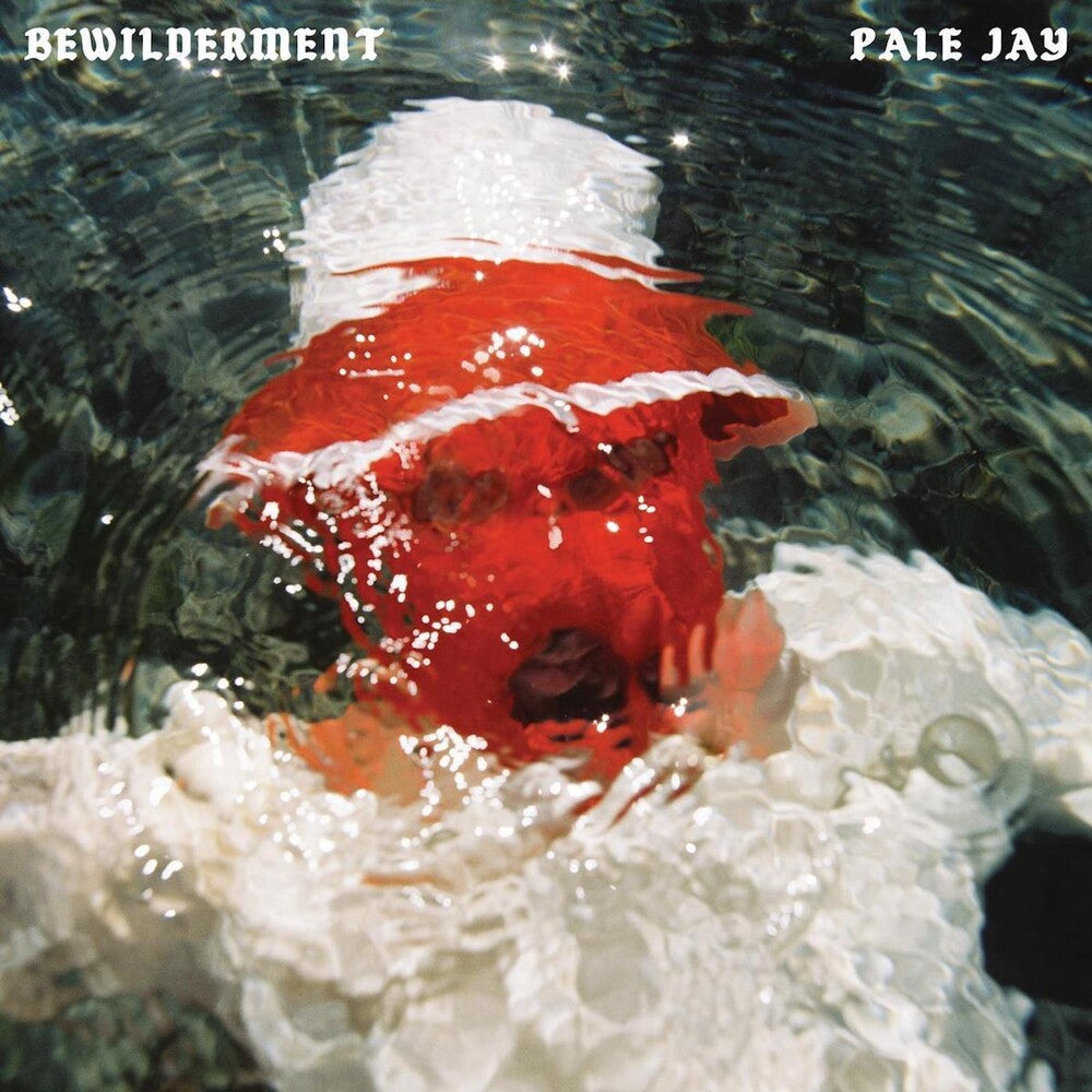 the album cover for Pale Jay - Bewilderment [LP]