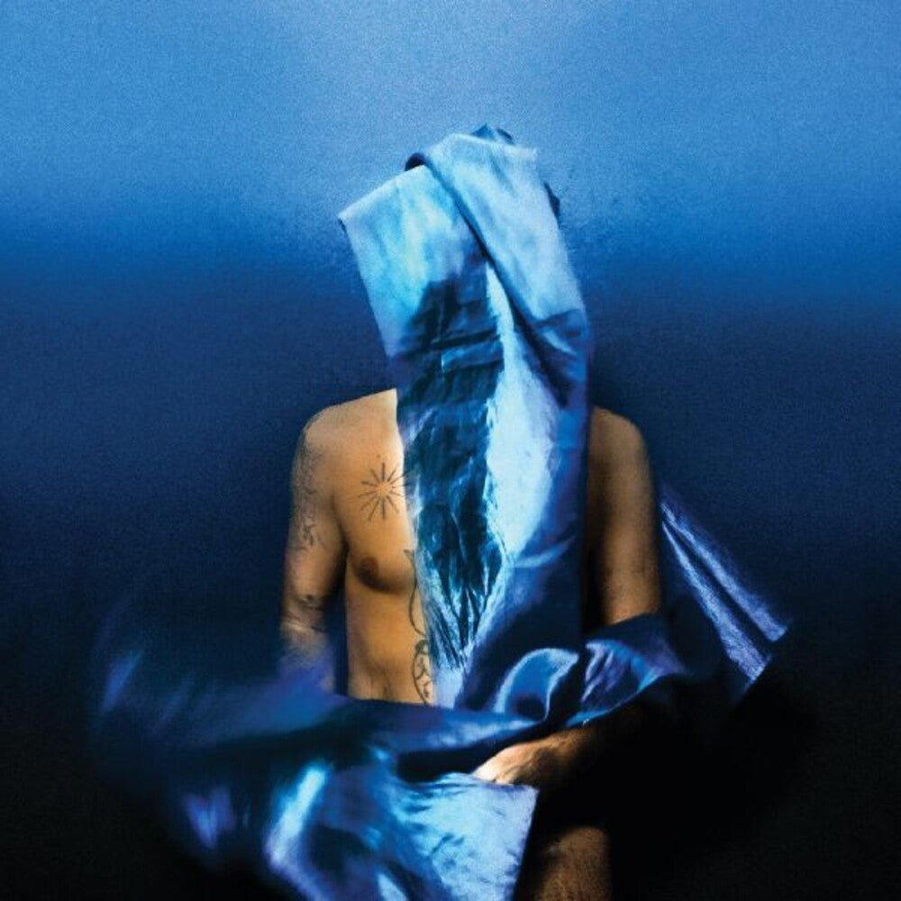 the album cover for Devendra Banhart - Flying Wig [LP]