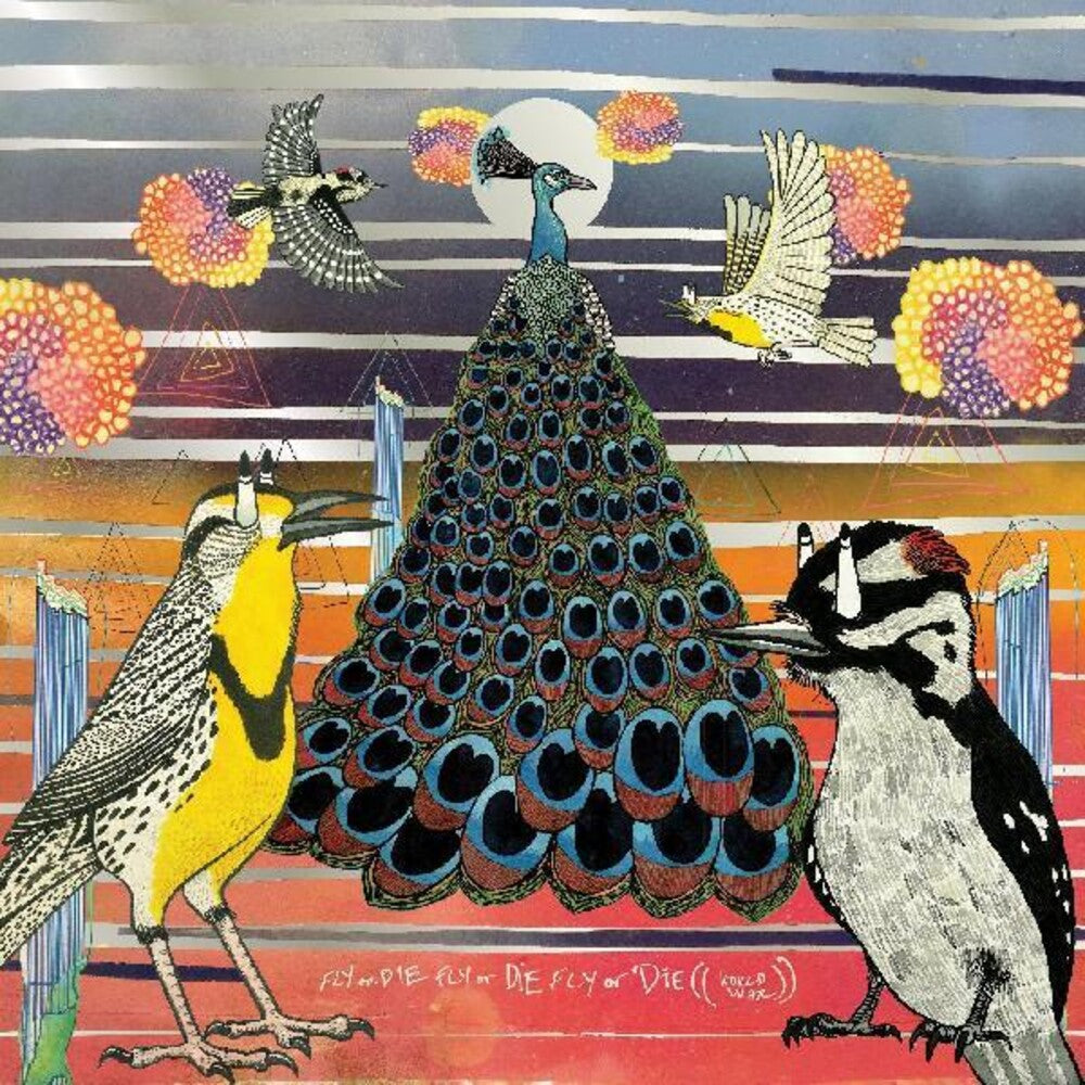 the album cover for Jaimie Branch - Fly or Die Fly or Die Fly or Die ((world war)) [LP]