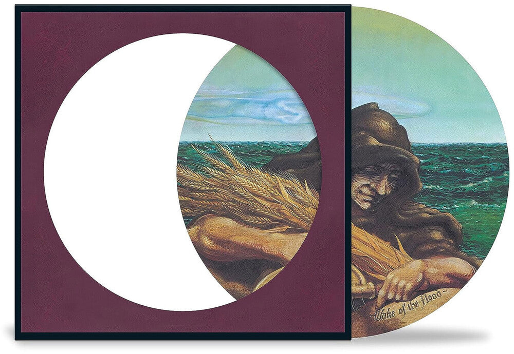 the album cover for Grateful Dead - Wake Of The Flood (Pict) (Aniv) [Remastered]