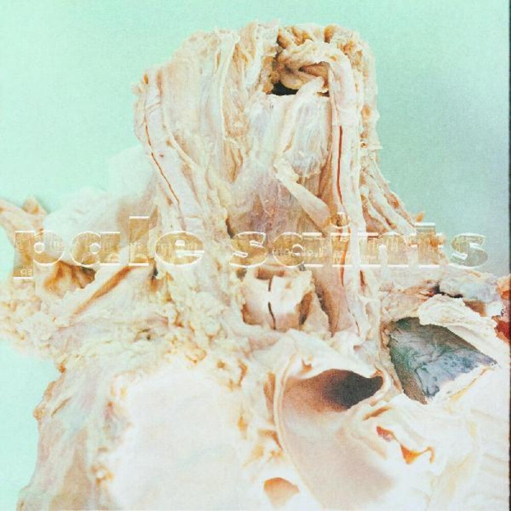 the album cover for Pale Saints - In Ribbons [Deluxe] (Gate)