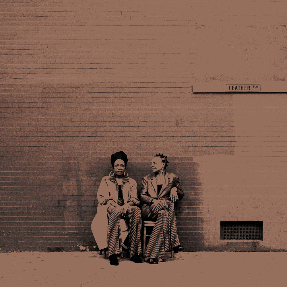 the album cover for B. Cool-Aid - Leather Blvd. (Brwn) [Colored Vinyl] (Gate) [180 Gram]