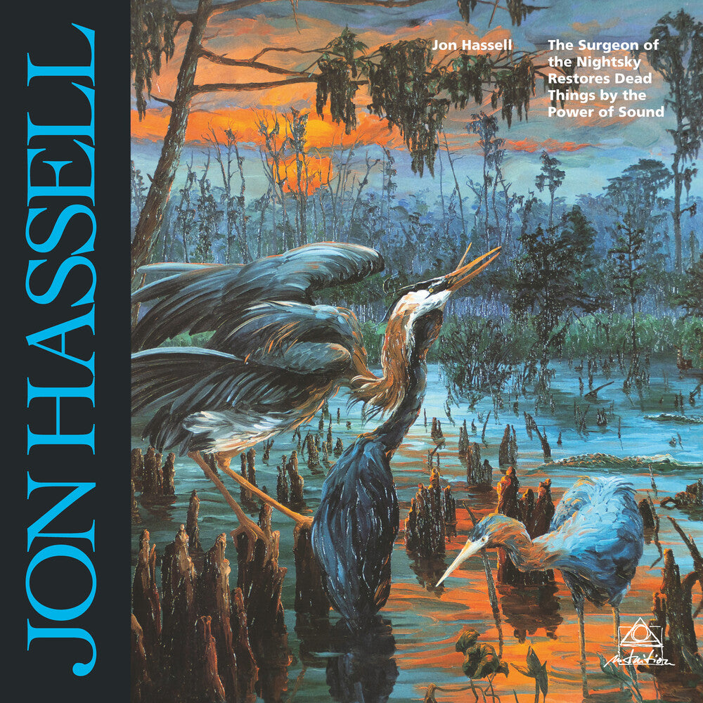 the album cover for Jon Hassell - Surgeon Of The Nightsky Restores Dead Things By