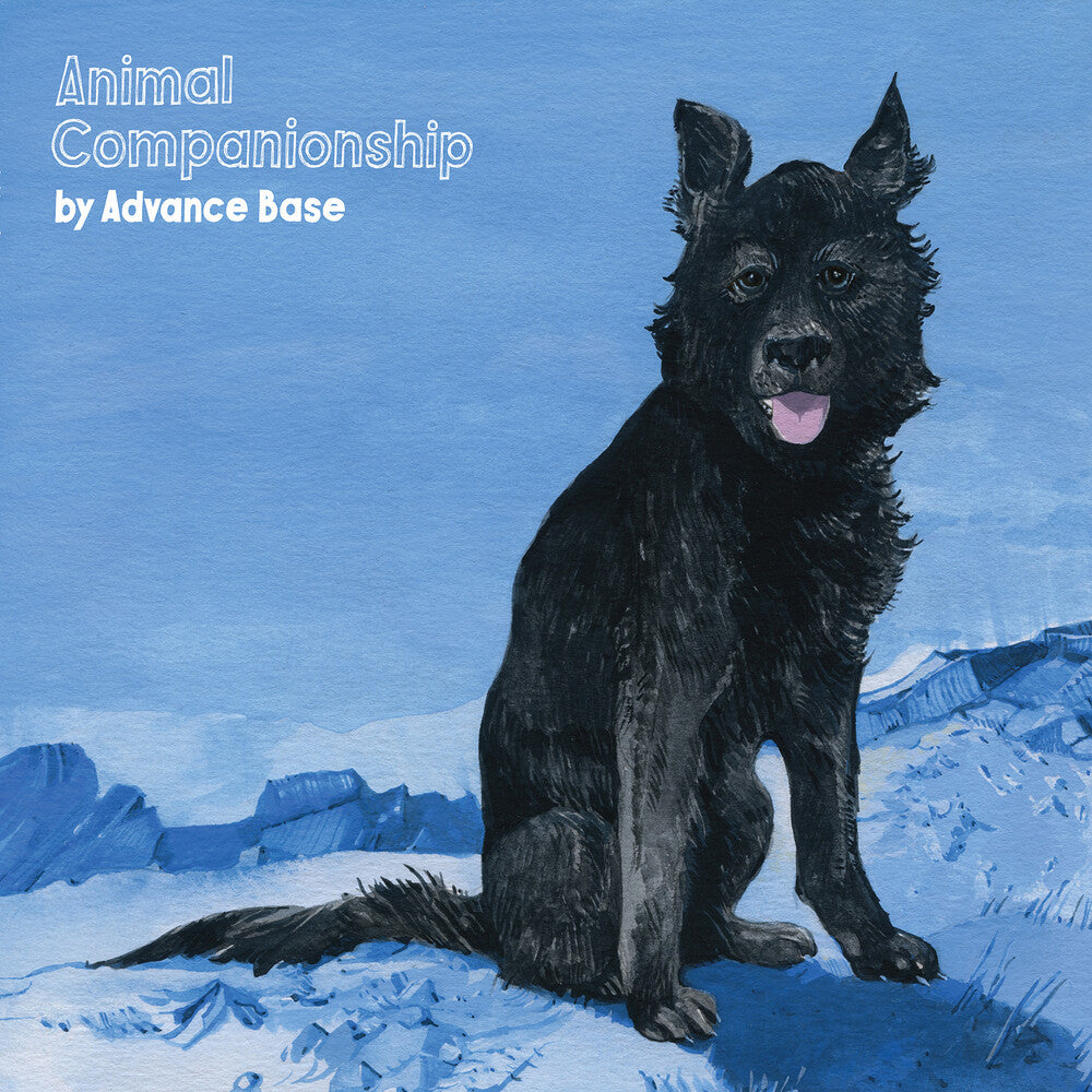 the album cover for Avance Base - Animal Companionship [Colored Vinyl]