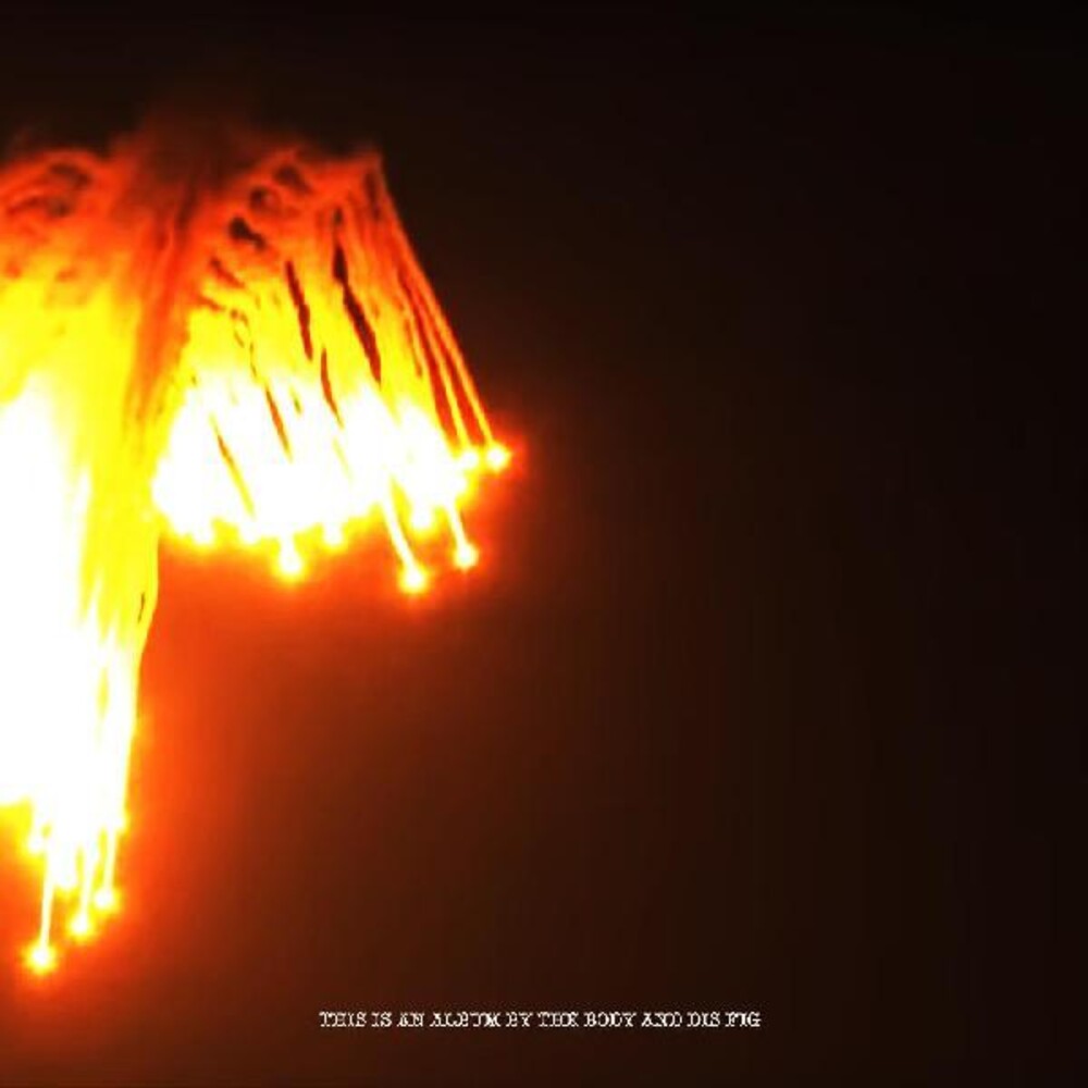 the album cover for Body & Dis Fig - Orchards Of A Futile Heaven