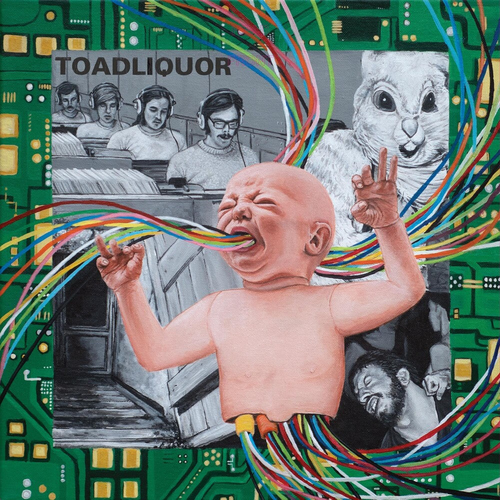 the album cover for Toadliquor - Back In The Hole