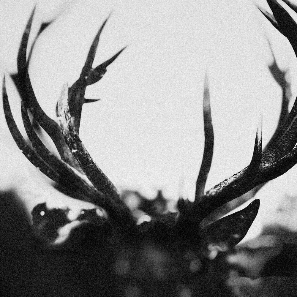 the album cover for Ihsahn - Ihsahn