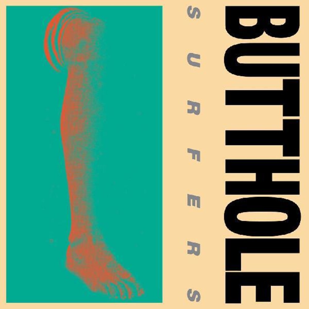 the album cover for Butthole Surfers - Rembrandt Pussyhorse