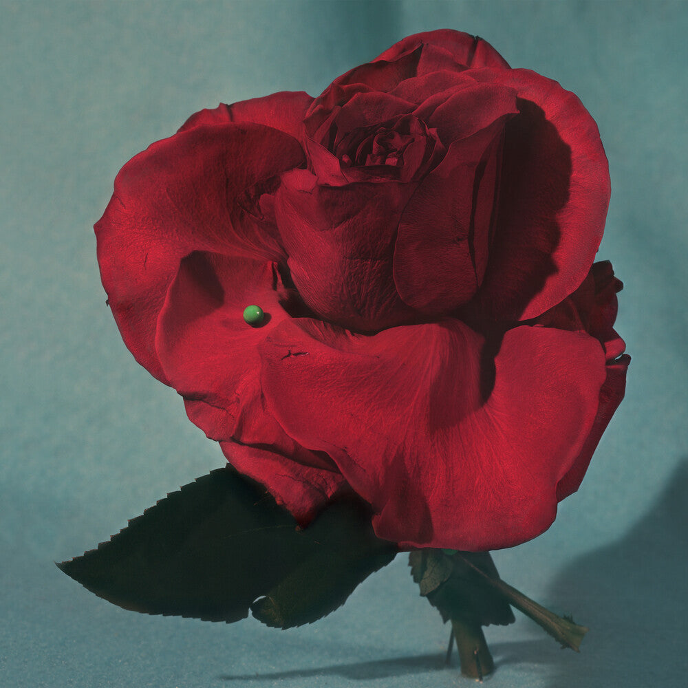 the album cover for METZ - Up On Gravity Hill [Colored Vinyl]