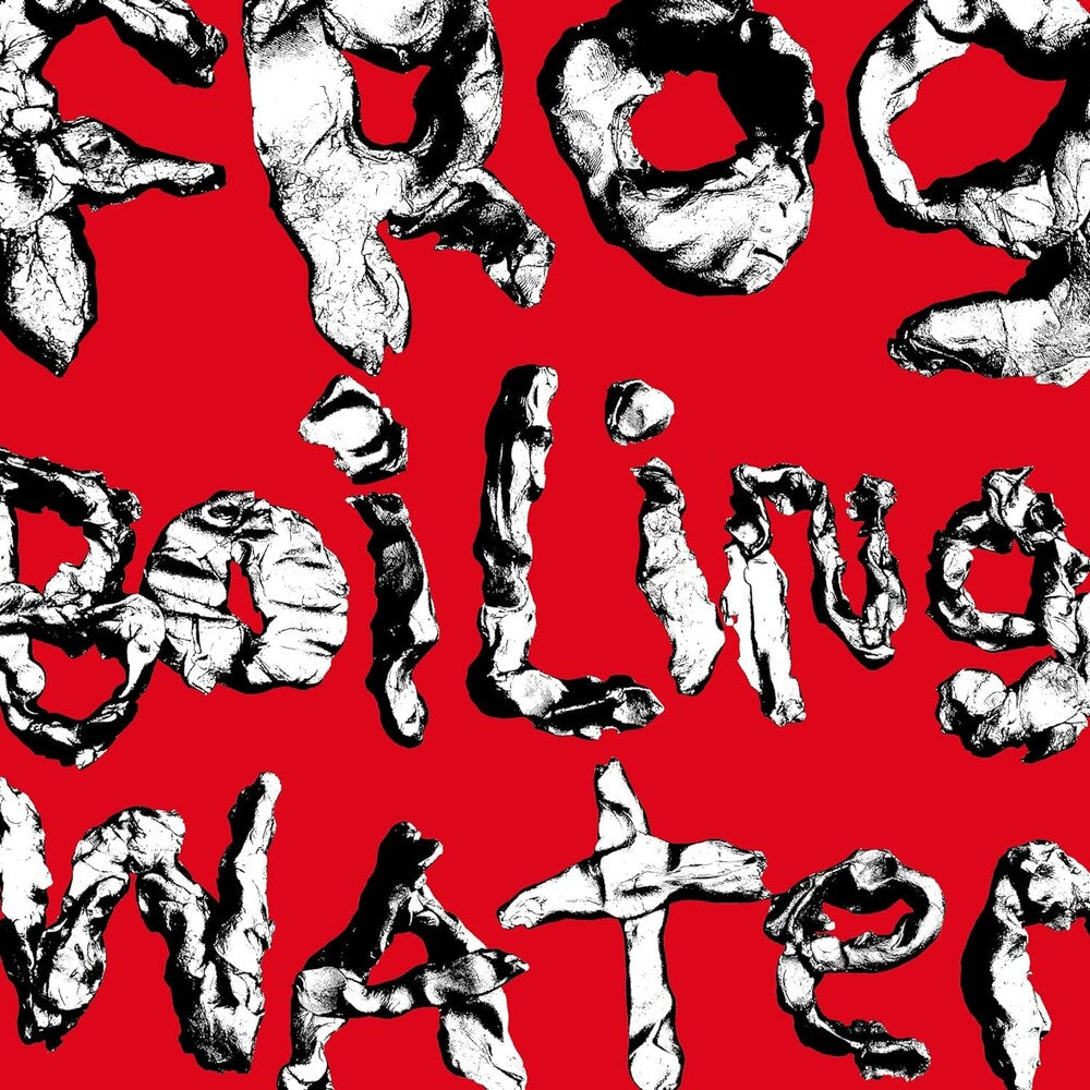 the album cover for DIIV - Frog In Boiling Water [LP]