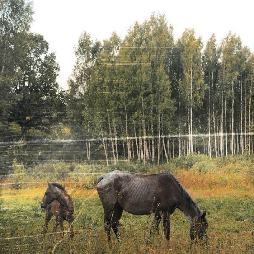 the album cover for Pianos Become The Teeth - Old Pride