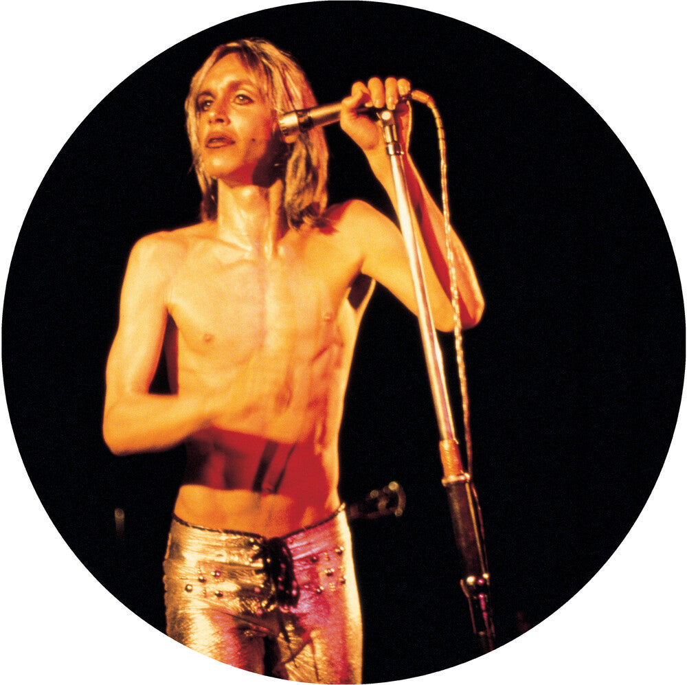 the album cover for Iggy & The Stooges - More Power [Reissue]
