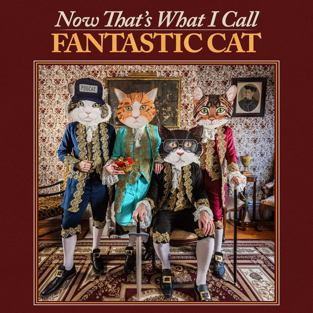 the album cover for FANTASTIC CAT	 - NOW THAT'S WHAT I CALL FANTASTIC CAT [LP]