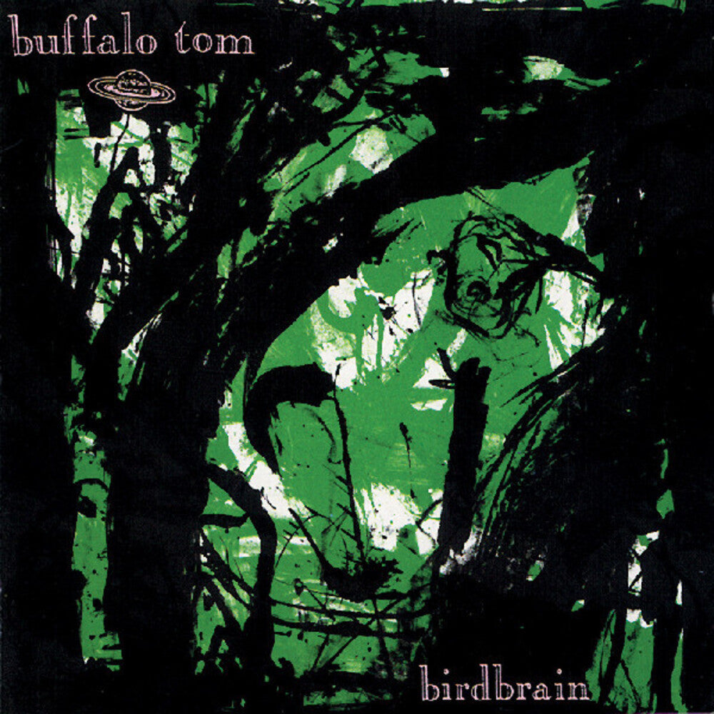 the album cover for Buffalo Tom - Birdbrain