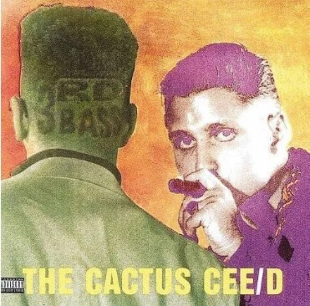 the album cover for 3rd Bass - Cactus Album